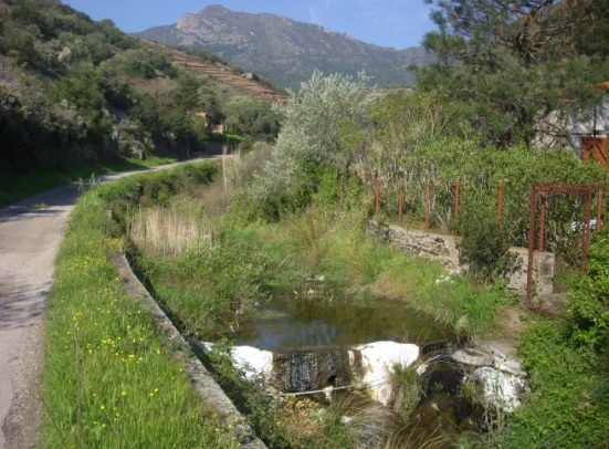 Randonnée Sentier des Perdreaux · Cerbère