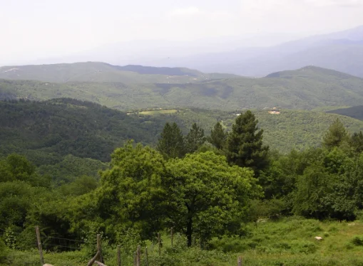 Randonnée Col de l'Ouillat · Laroque-des-Albères