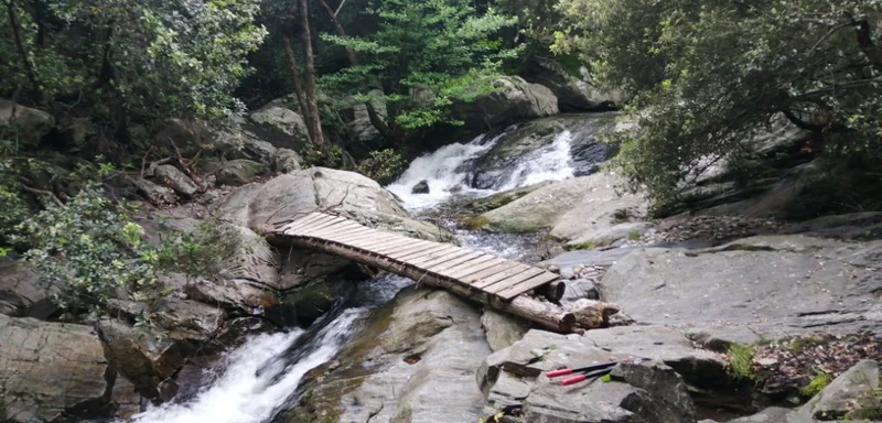 Randonnée Le Casot d'en Lic · Laroque-des-Albères