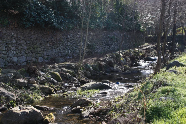 Randonnée A la découverte de la faune et de la flore · Laroque-des-Albères