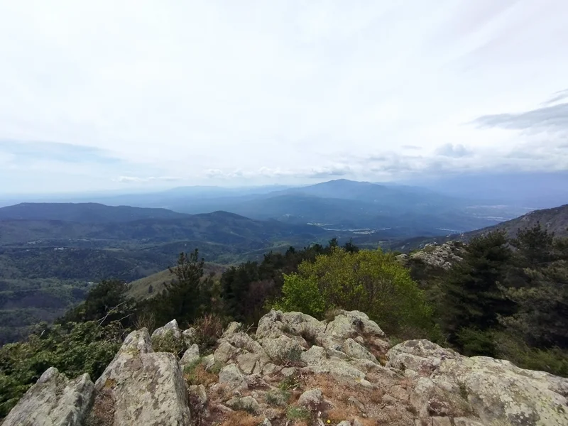 Randonnée Le Roc del Grevol et Puig d'Orella · Laroque-des-Albères