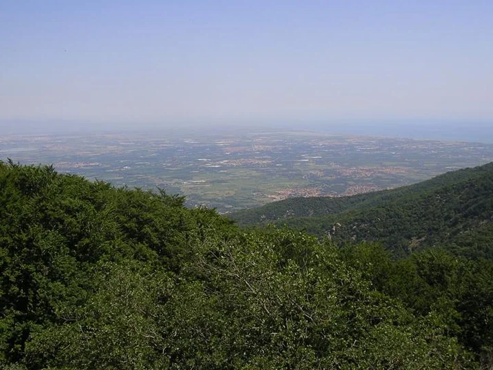 Randonnée Un sentier pour tous au Col de l'Ouillat · L'Albère