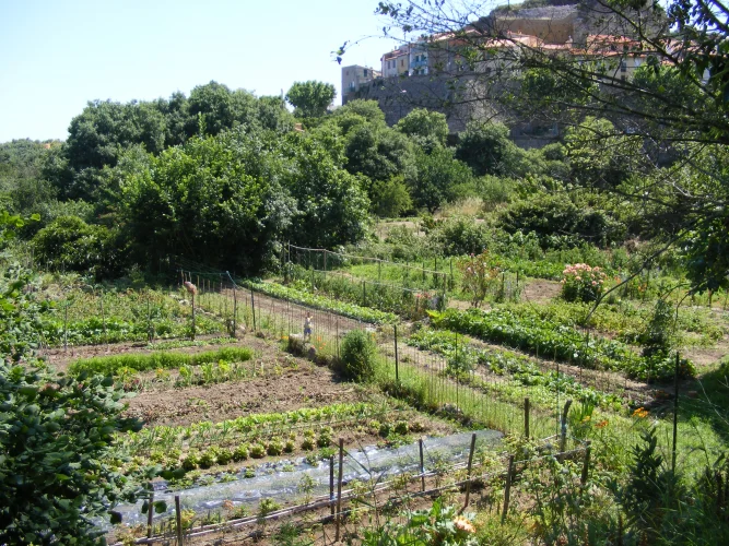 Randonnée Découverte du vieux village de Laroque et de ses environs · Laroque-des-Albères