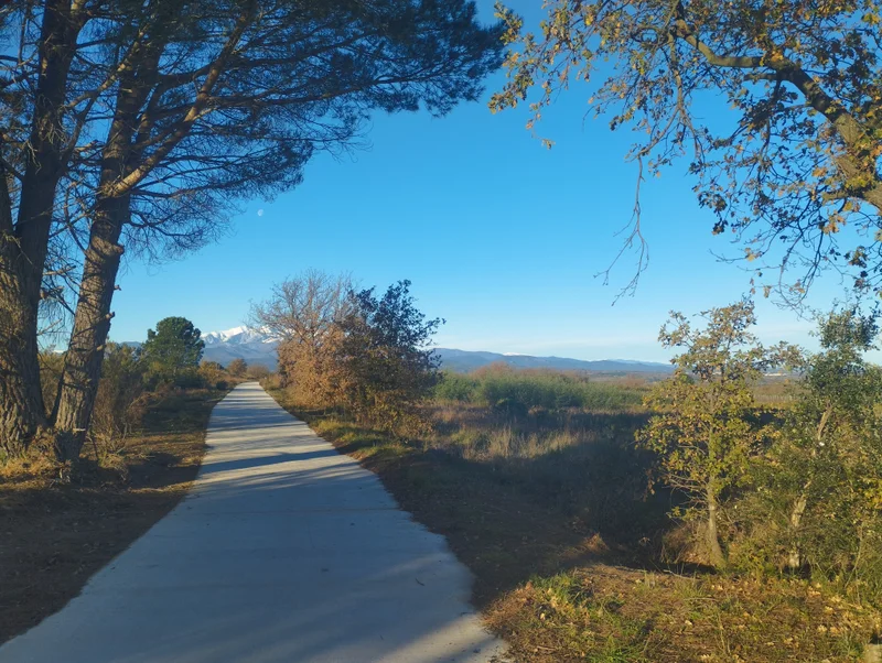 Vélo de route Mairie de Montesquieu-des-Albères-EV8 · Montesquieu-des-Albères