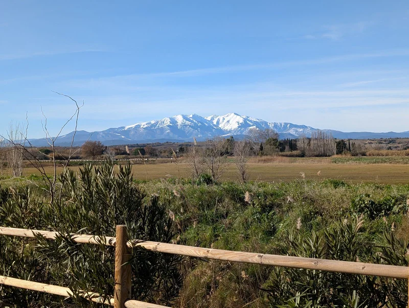 Vélo de route Voie verte "De Bages au lac de Villeneuve-de-la-Raho" · Bages