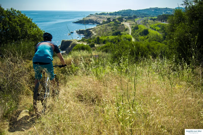Vélo de route Entre plaine, mer et montagne · Argelès-sur-Mer
