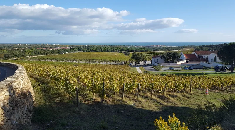 Vélo de route Balade à vélo autour d'Argelès-sur-Mer · Argelès-sur-Mer