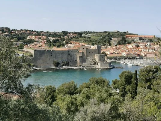 Trail Trail hauts des forts (version courte) · Collioure