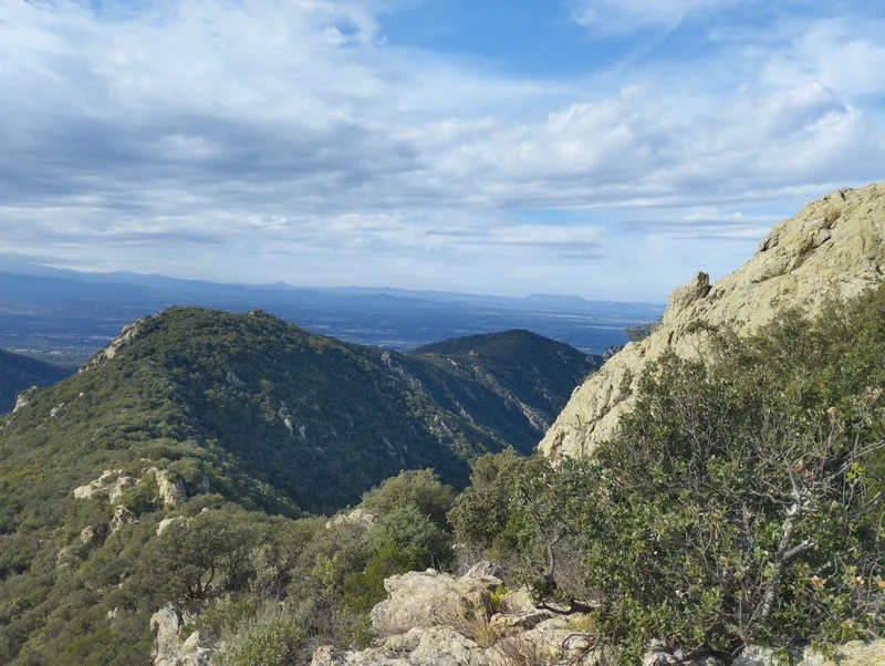Trail Trail du château d'Ultrera 2024 · Sorède
