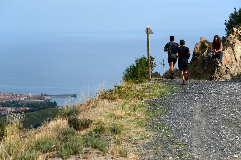 Trail Trail des Vendanges · Collioure