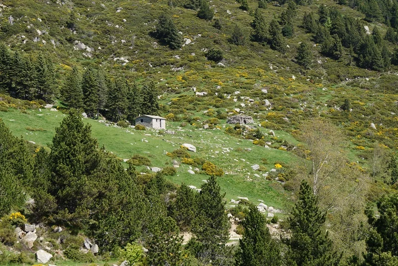 Randonnée De Leca à la Devesa de Vallbona · Corsavy