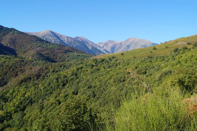 Randonnée Au fil du chemin rural, depuis Saint-Marsal · Can Gelis