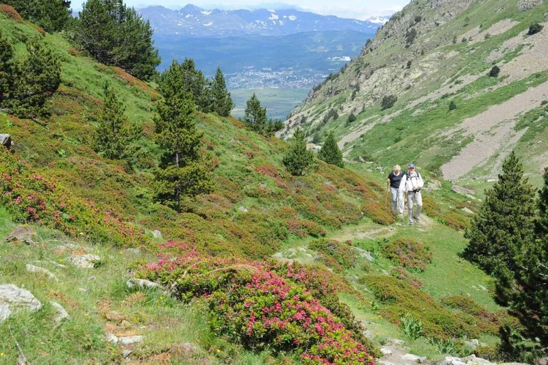 Randonnée Réserve Naturelle de la Vallée d'Eyne (PR17) · Eyne