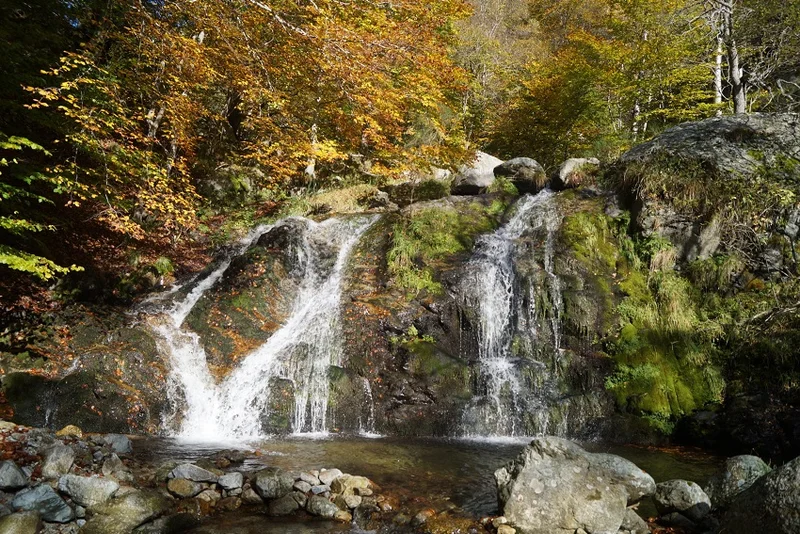 Randonnée Cal Cabús et la Parcigola · Prats-de-Mollo-la-Preste