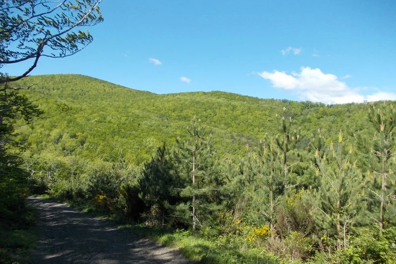 Randonnée Aux portes de Boucheville · Vira