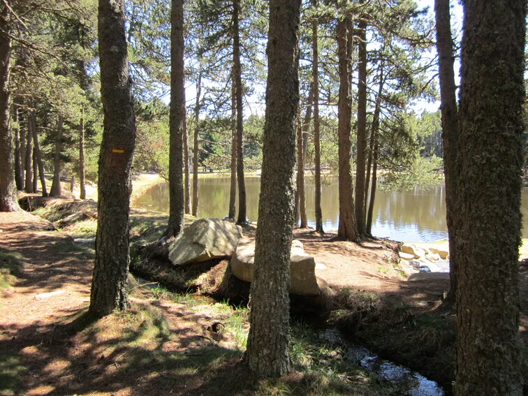 Randonnée L'Etang du Ticou (PR61) · Bolquère