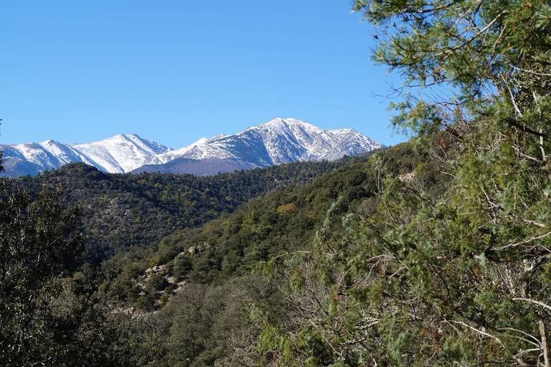 VTT El Molinot · Arles-sur-Tech