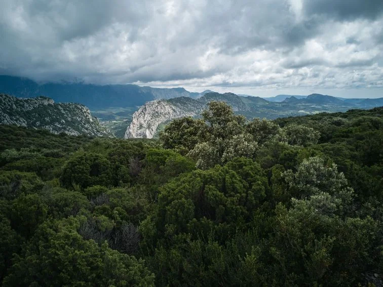 VTT Les abords de Saint-Martin · Saint-Martin-de-Fenouillet