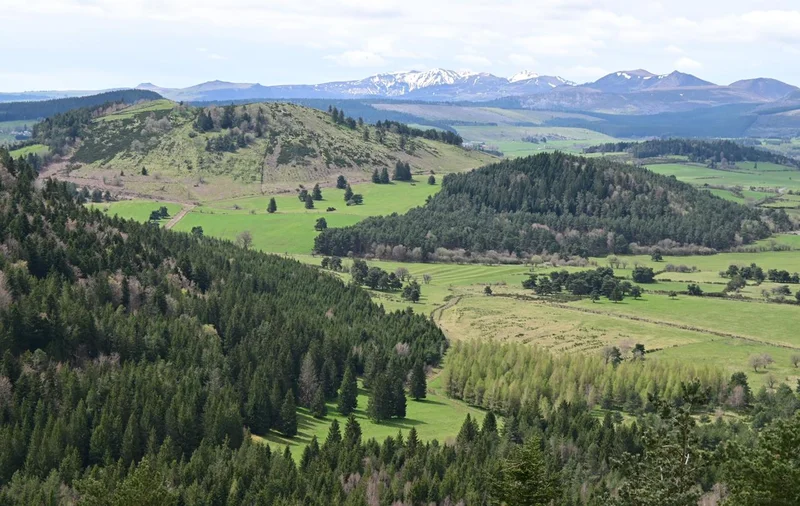 Randonnée Puy de Vichatel (depuis le col de la Ventouse) · Aydat