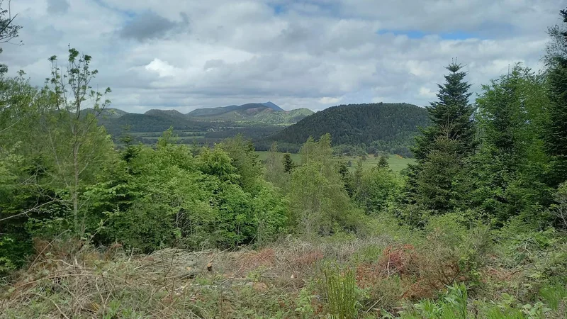 Randonnée Puy de la Rodde (Aydat) · Aydat