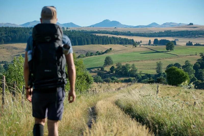 Randonnée Découverte intime du Cézallier sur les Chemins de traverse · Allanche