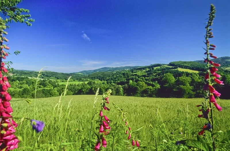 Randonnée Montmorillon - PR n°24 · Châtel-Montagne