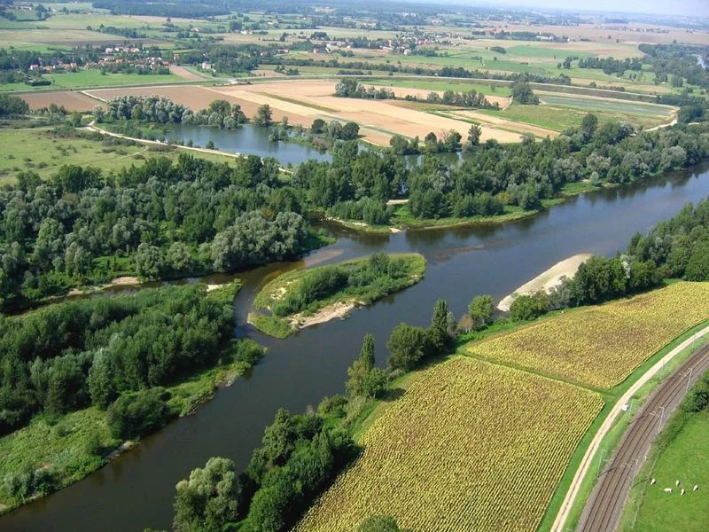 Randonnée Les bords de l'Allier - PR n°60 · Charmeil