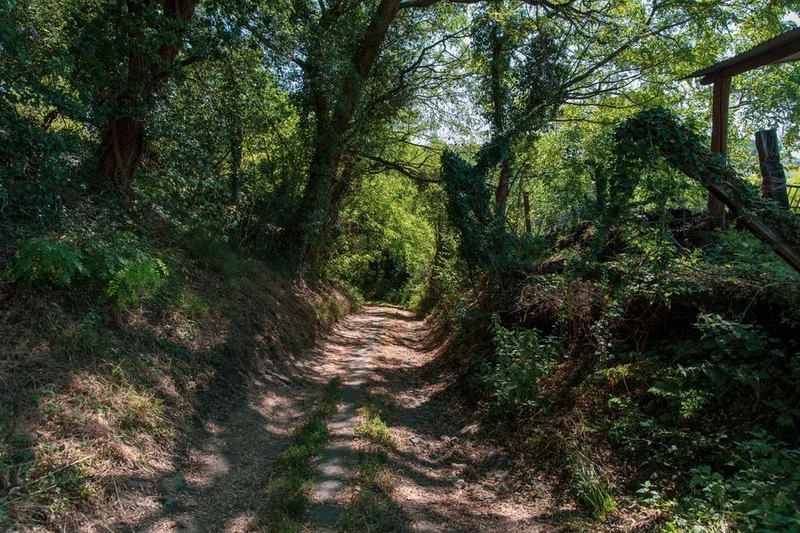 Randonnée Les coteaux des Creuzier - PR n°56 · Creuzier-le-Neuf