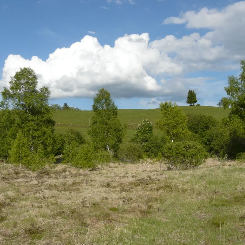 Randonnée Bertinet · Saint-Donat