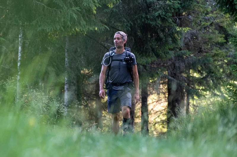 Randonnée D'Allanche à Chalinargues par le Bois de la Pinatelle (étape 1 de l'itinérance Découverte intime du Cézallier) · Allanche