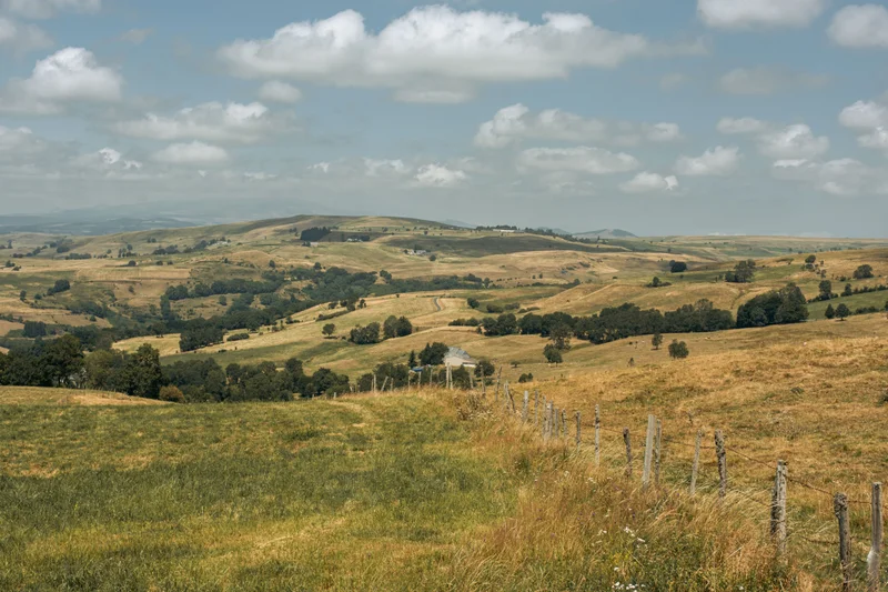 Randonnée D'Allanche à Marcenat (étape 6 du Tour des Vaches Rouges) · Allanche