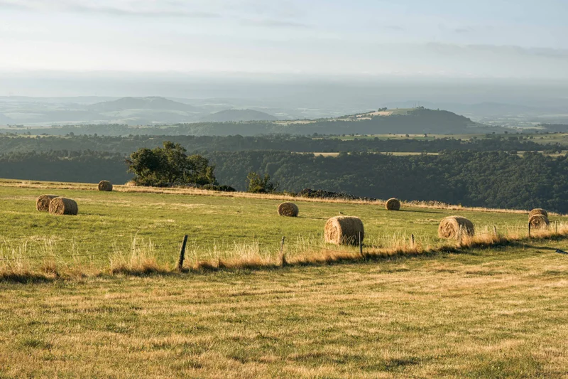 Randonnée De Laurie à Peyrusse (étape 4 du Tour des Vaches Rouges) · Laurie
