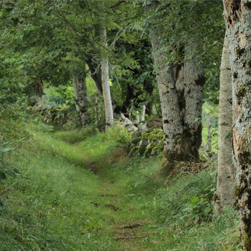 Randonnée Les hauts de Chastreix · Chastreix