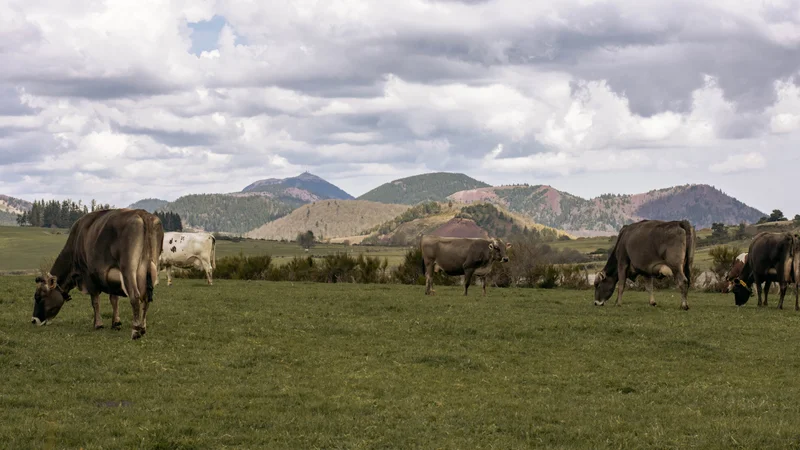 Randonnée Puy de Combegrasse et narse d'Espinasse · Aydat