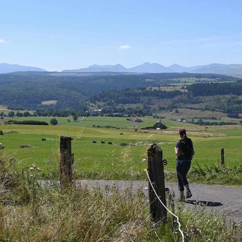 Randonnée Puy de Mathonière · Allanche
