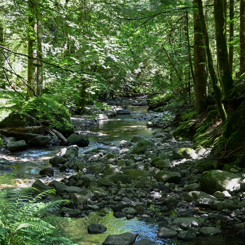 Randonnée Sentier des gorges de l'Alagnon · Laveissière