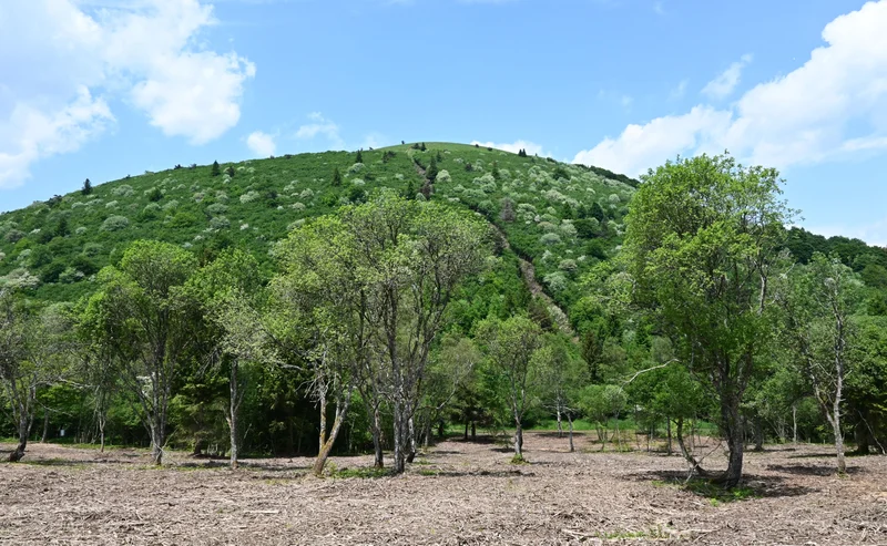 Randonnée Tour de Côme · Les Roches
