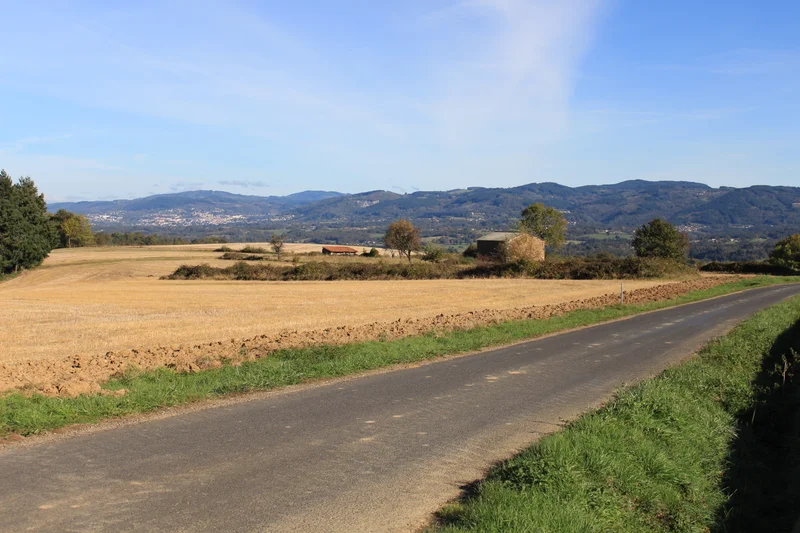 Randonnée Balade des gens heureux · Néronde-sur-Dore