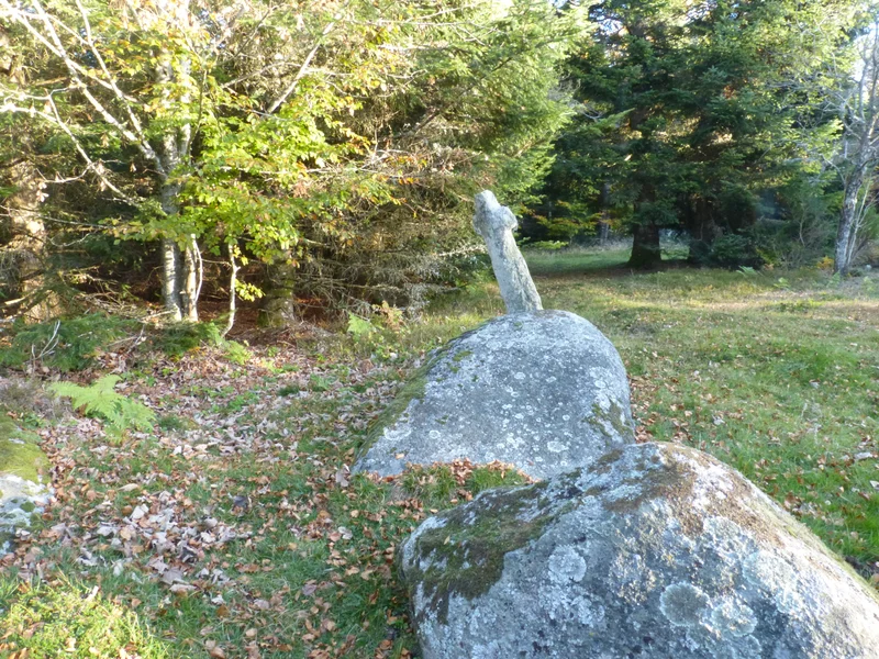 Randonnée Croix de fer · La Renaudie