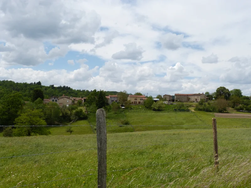 Randonnée Des Ribes au Miodet · Saint-Dier-d'Auvergne