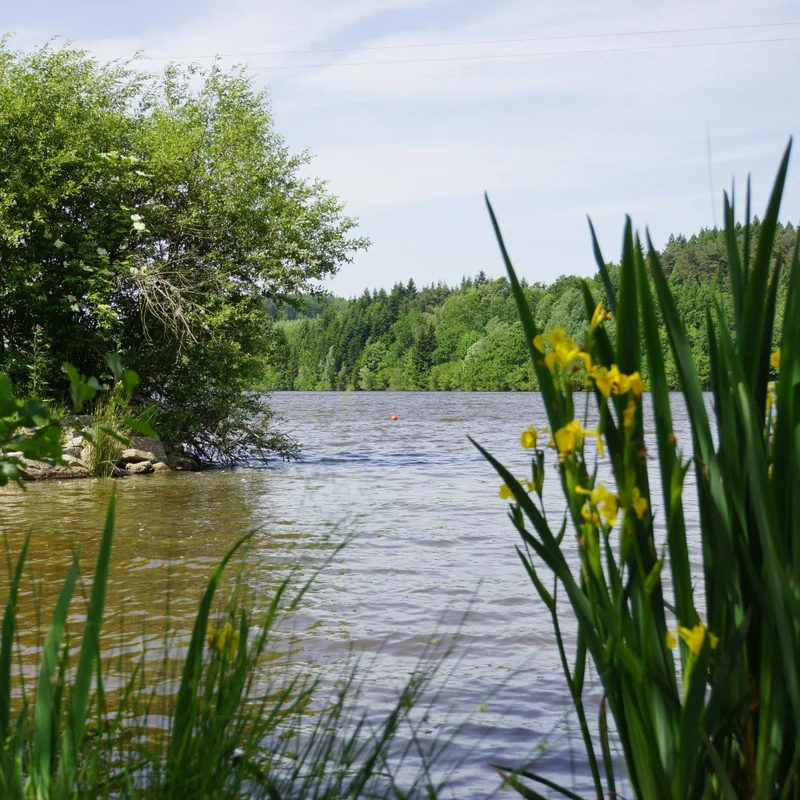 Randonnée Lac et sous-bois · Aubusson-d'Auvergne
