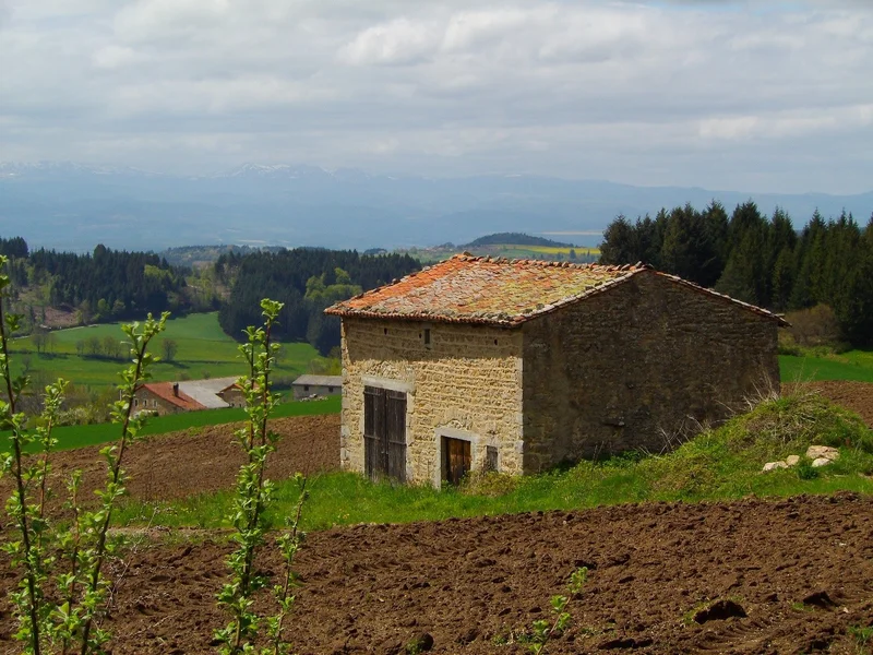 Randonnée La chapelle des Fialins · Le Vernet-Chaméane