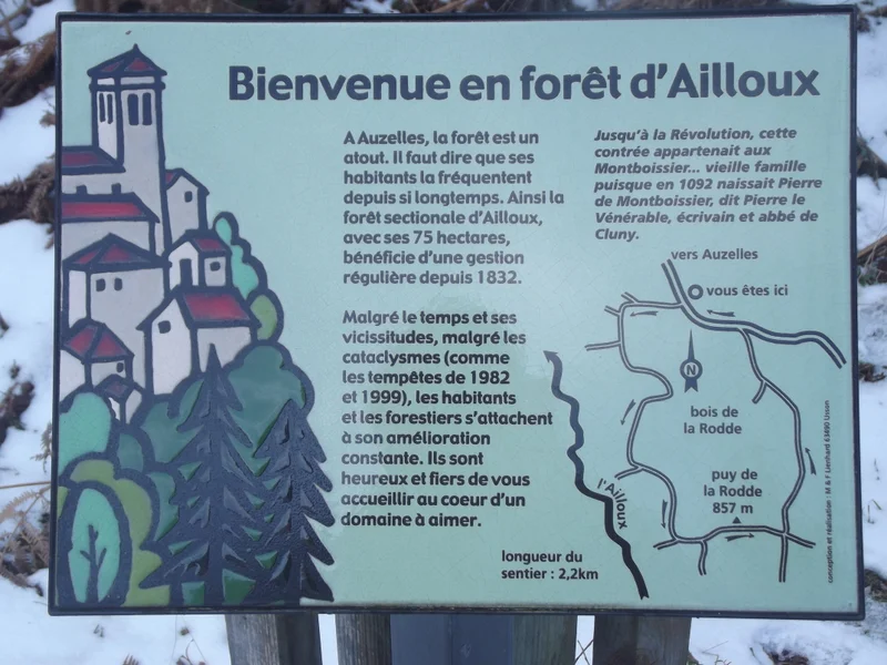 Randonnée La forêt d'Ailloux · Auzelles
