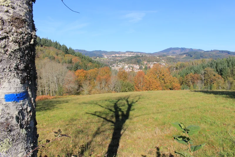 Randonnée La Grande Roulière · La Monnerie-le-Montel