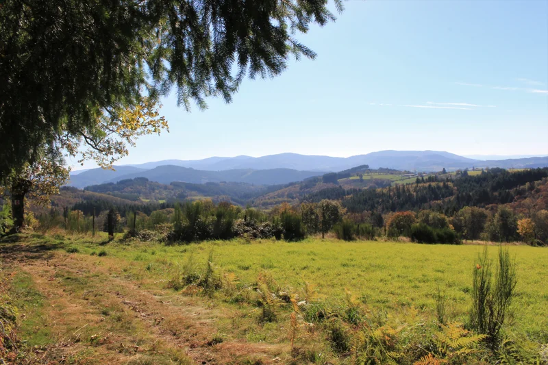 Randonnée La Jalonne · Celles-sur-Durolle