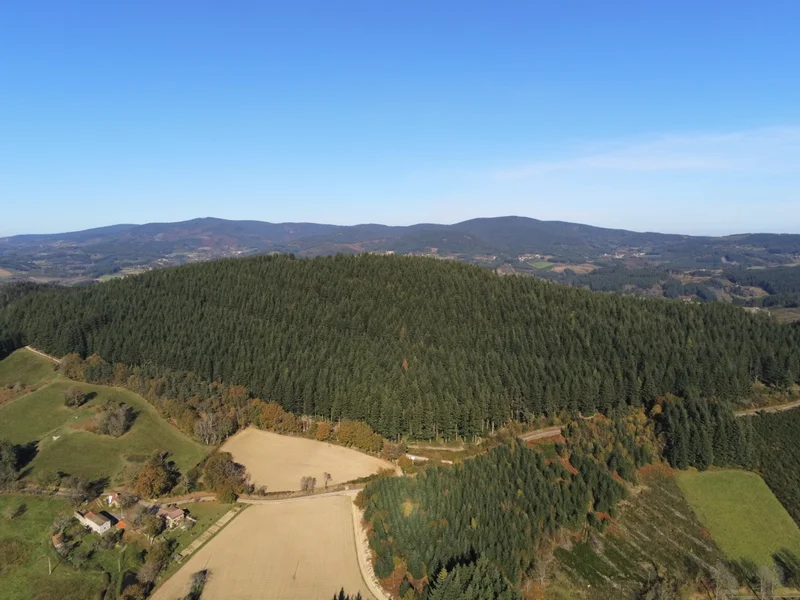Randonnée La Virée des Rocs (Roc du Guet) · Viscomtat