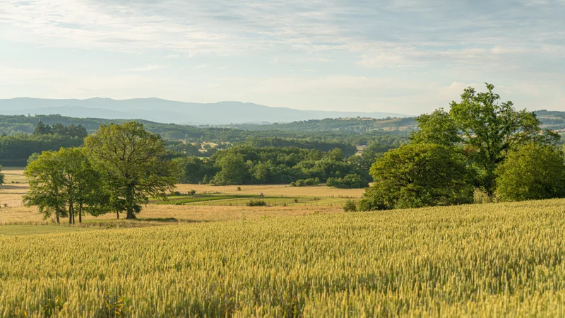 Randonnée Le bois de la Faye · Bort-l'Étang