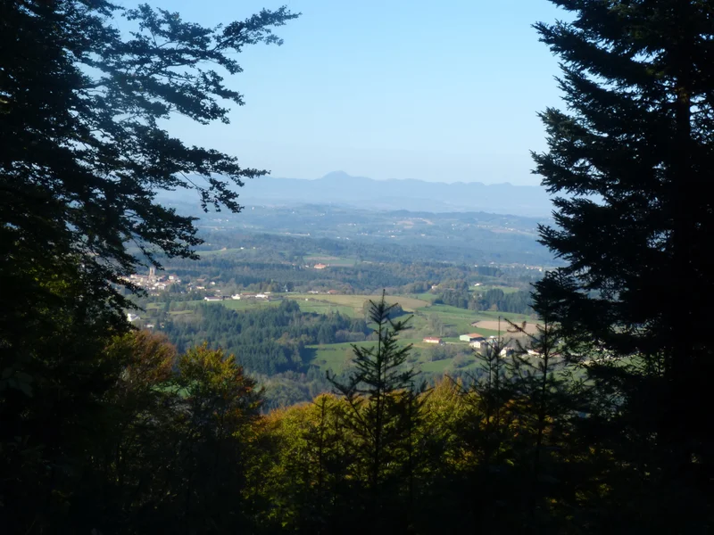 Randonnée Le château de la Faye · Olmet