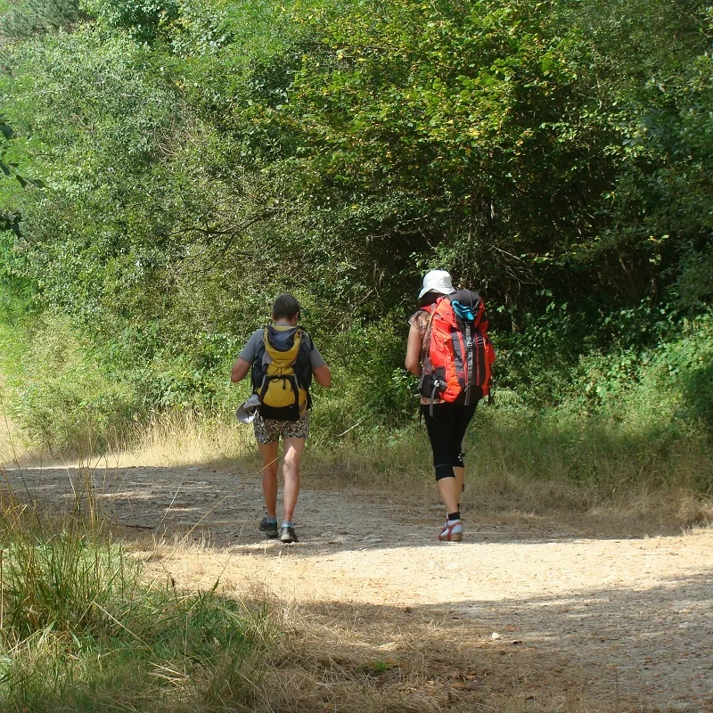 Randonnée Le chemin de Sainte-Agathe · Thiers