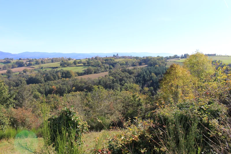 Randonnée Le chemin du Lilion · Sermentizon